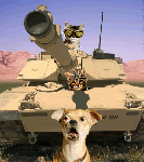 Are you sure this is how we catch bats?