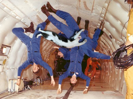 Like driving with my father -- if the cat was smoking a cigar...