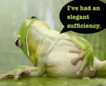 elegant sufficiency