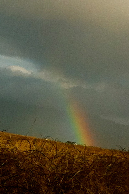 Connections in Ireland. Pots of gold at the end of my rainbow.