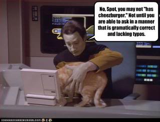 funny-pictures-star-trek-cat-wants-burger