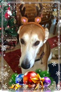 "It's only your first year as a reindeer," she said. "They'll never pick you for their Reindeer Games."