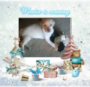 Channeling your inner-direwolf