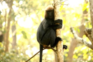 Maybe they were mad about those wet socks I left on the porch...