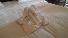 Came back to the room to find this little guy waiting for us!