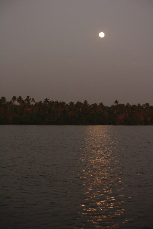 16467300361_fdb7abac39_o