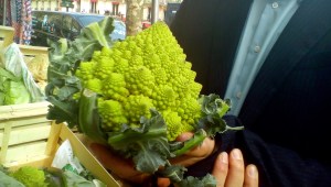 Don't math with your food! (Romanesco or fractal?)