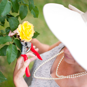 rosie gardening 02 facebook