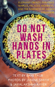 DO NOT WASH HANDS IN PLATES