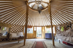 Then another £1000 or so for a yurt here. http://www.woodlandyurts.co.uk/Woodland_Yurts/default.html (**doors, windows, woodstove, solar panels and SAT-phone extra...)