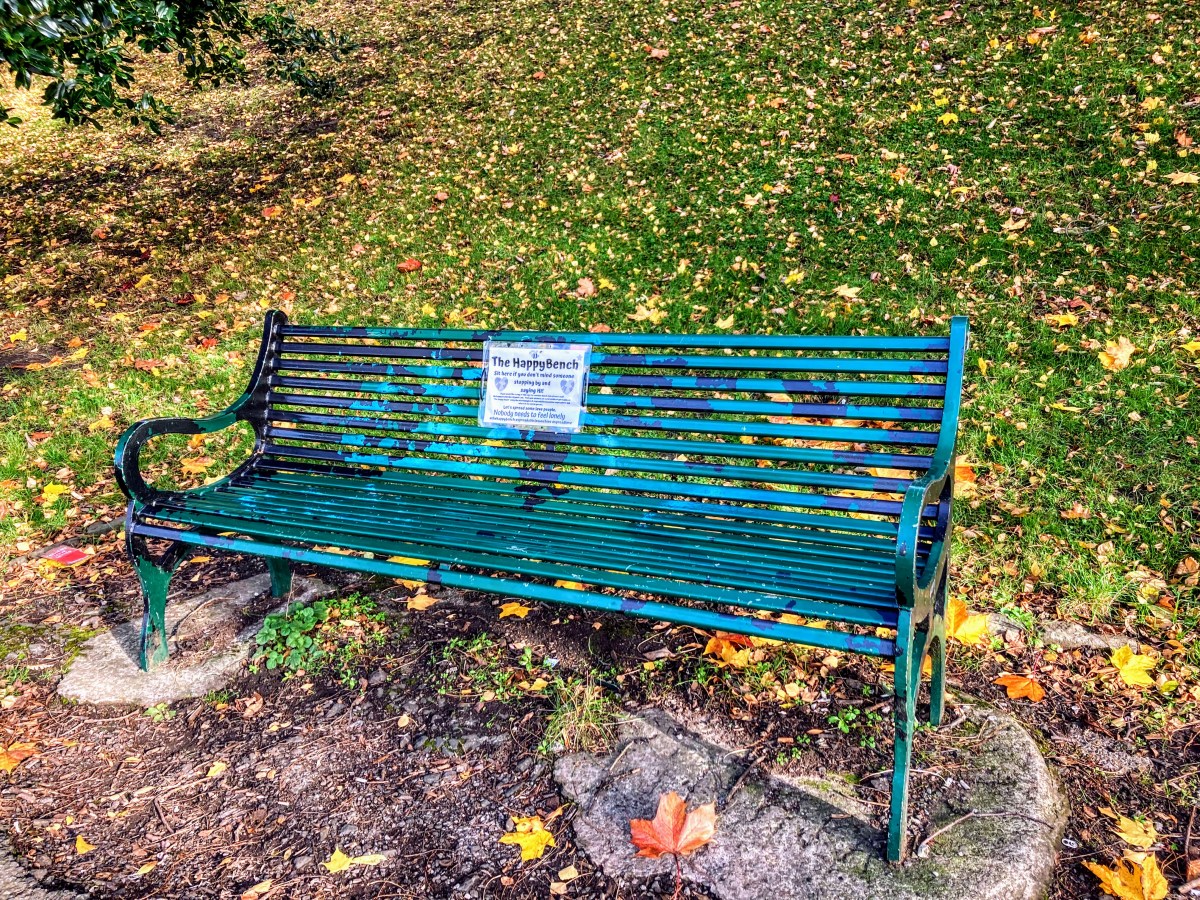 So… about that Happy Bench? #humor #Glasgow (sort-of) # ...